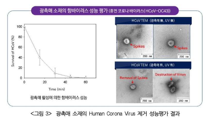 Abb. 1: Antivirale Leistungsbewertung von photokatalytischen Materialien anhand des Human Corona Virus HCoV-OC43